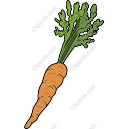Fresh Carrot in and