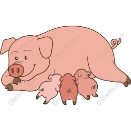 Charming Mother Pig with Piglets