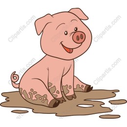 Happy Piglet