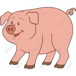 Charming Cartoon Pig