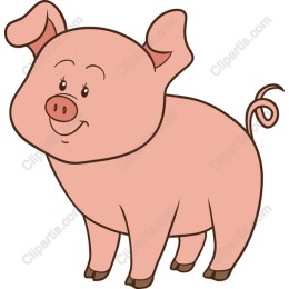 Cheerful Pig