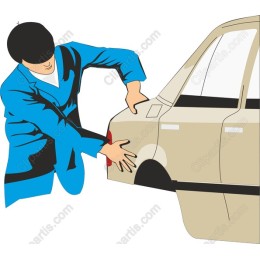 Professional Mechanic