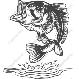 Leaping Bass Fish