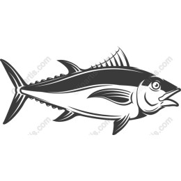 Tuna Fish