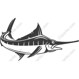 Majestic Marlin