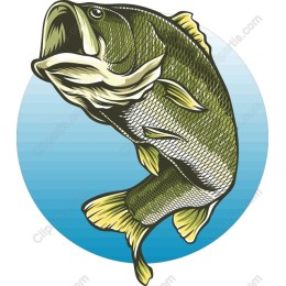 Dynamic Bass Fish