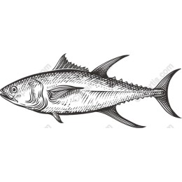 Hand-Drawn Fish