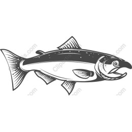 Vintage Salmon
