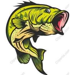 Dynamic Bass Fish