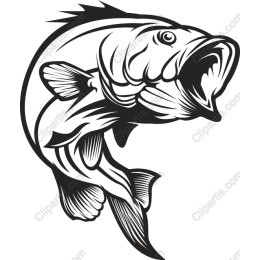 Dynamic Leaping Fish