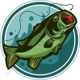 Vibrant Bass