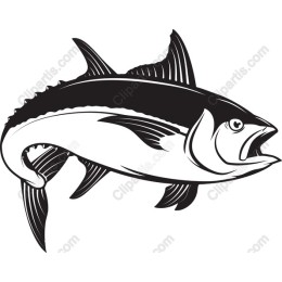 Fierce Fish