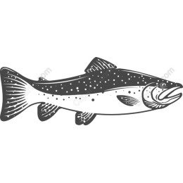 Premium Trout