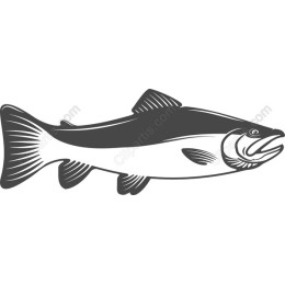 Trout