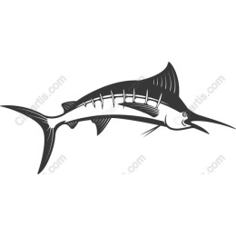 Swordfish