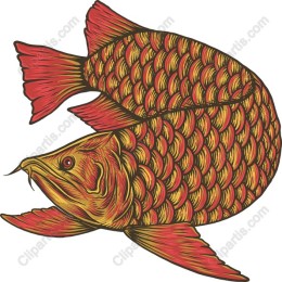 Vibrant Fish in Red and Gold