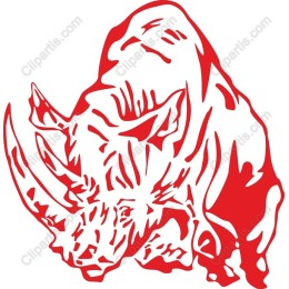 Majestic Rhino