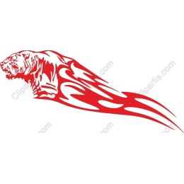 Fierce Tiger in Motion