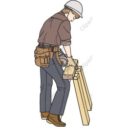 Professional Carpenter