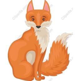 Charming Orange Fox