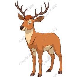 Charming Cartoon Deer