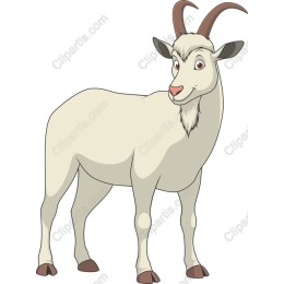 Charming Goat