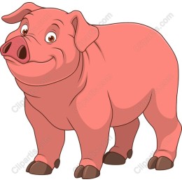 Charming Cartoon Pig