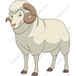 Charming Cartoon Sheep