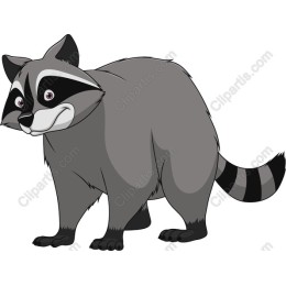 Cute Cartoon Raccoon