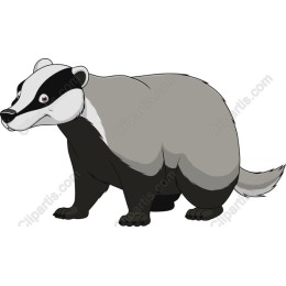 Cute Badger
