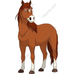 Playful Brown Horse