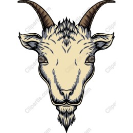 Majestic Goat Head