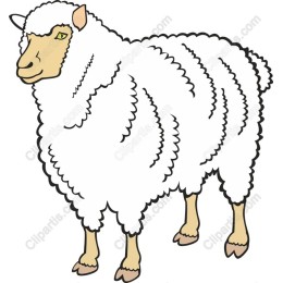 Fluffy Sheep