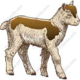 Charming Goat Kid
