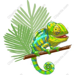 Charming Chameleon