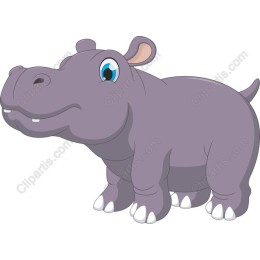 Adorable Hippo