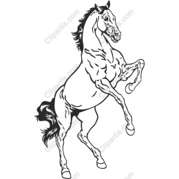 Rearing Horse