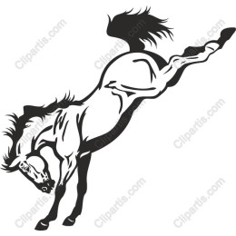 Dynamic Rearing Horse