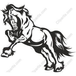 Majestic Rearing Horse