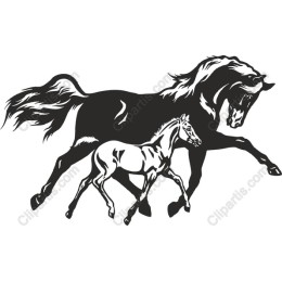 Majestic Horse and Foal work