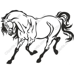 Elegant Horse