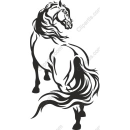 Elegant Horse