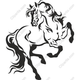 Majestic Rearing Horse