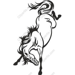 Majestic Rearing Horse