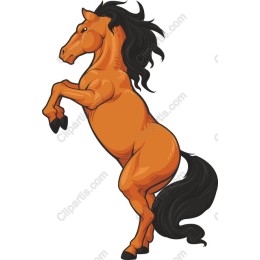 Majestic Rearing Horse