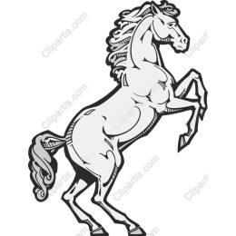 Majestic Rearing Horse