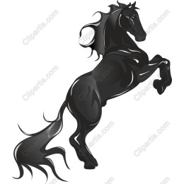 Majestic Black Horse