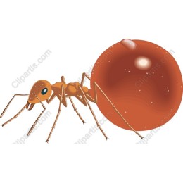 Vibrant Ant