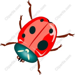 Vibrant Ladybug