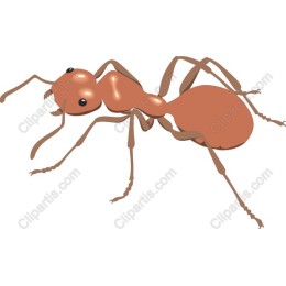 Realistic Ant